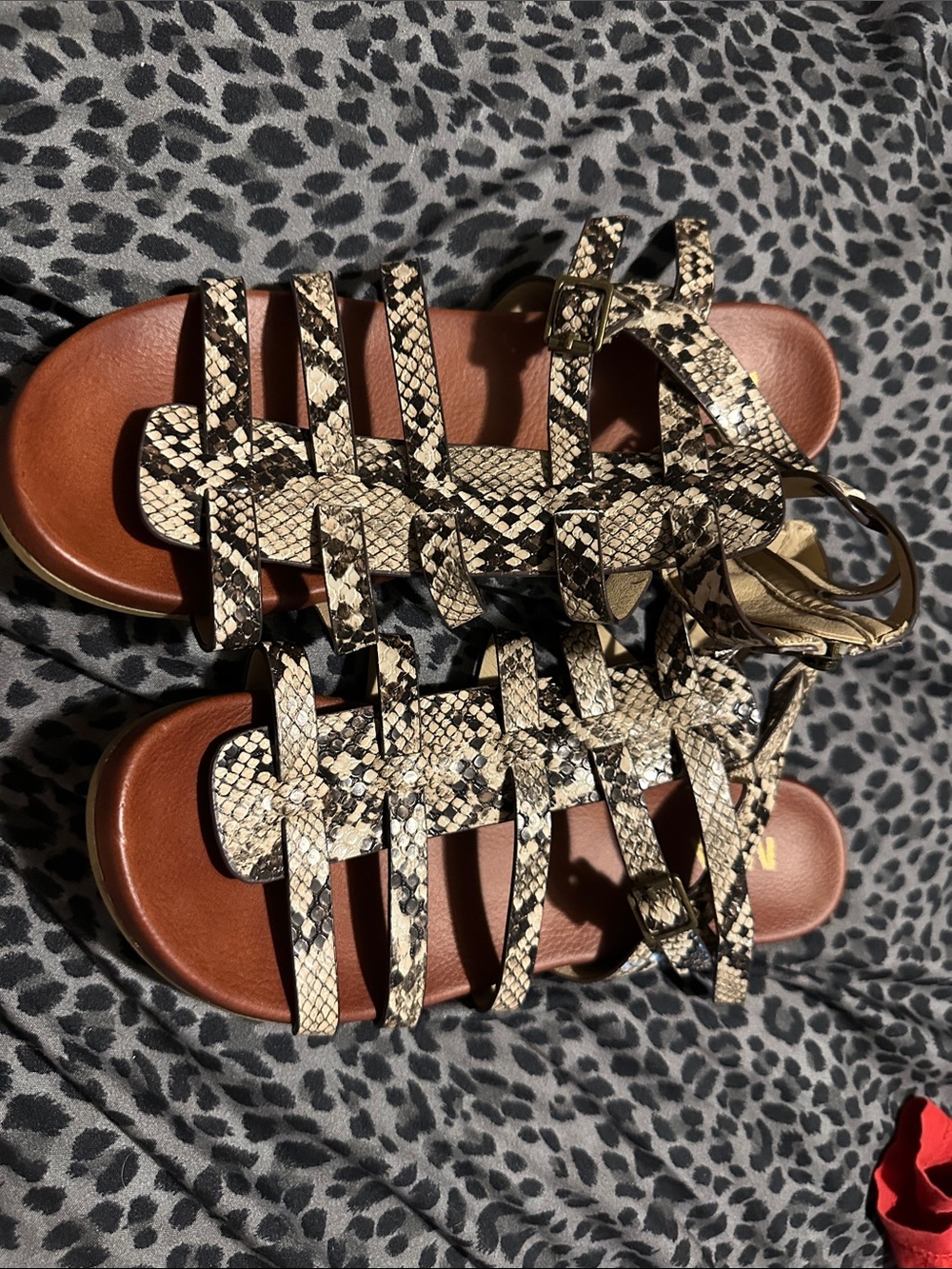 BKE Women's Snake-Print Strappy Sandals in Beige and Black 7.5
